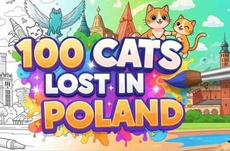 100 Cats Lost In Poland: Extra Content