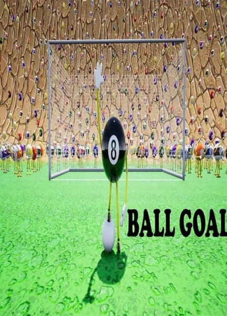 8 Ball Goal
