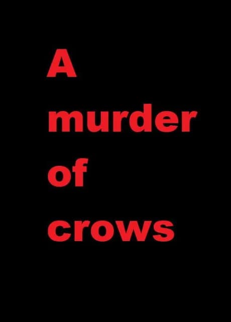 A Murder of Crows