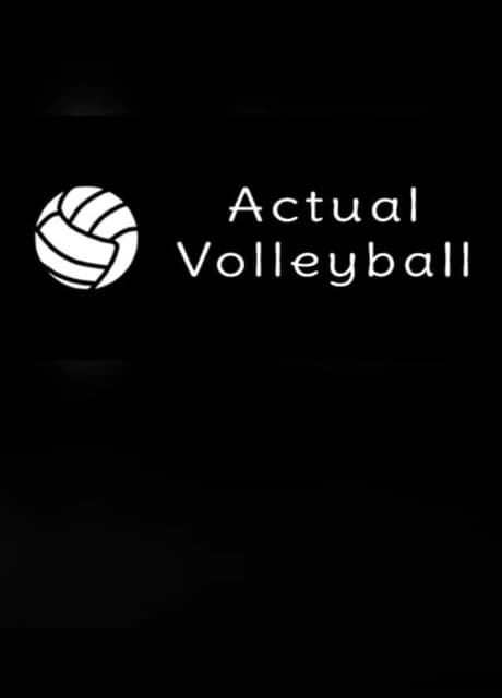 Actual Volleyball