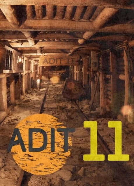 Adit 11
