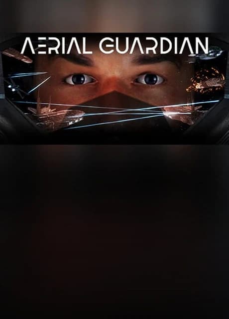 Aerial Guardian