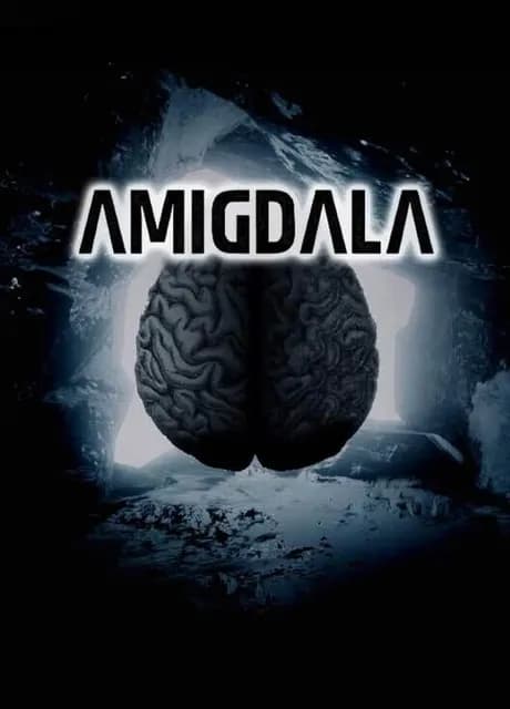 Amigdala