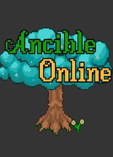 Ancible Online