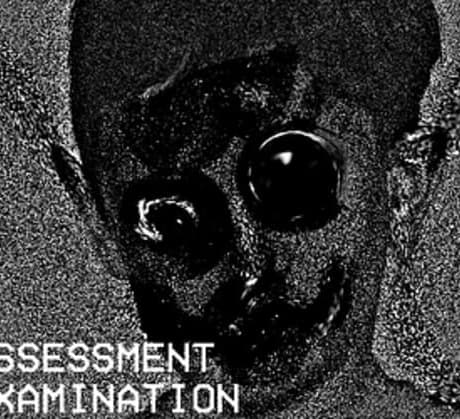 Assessment Examination
