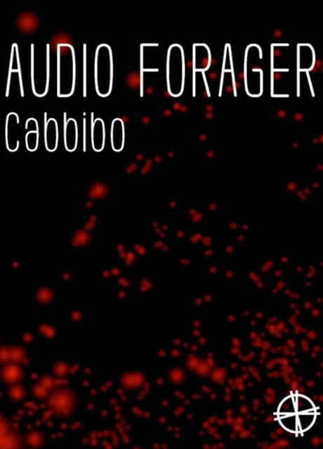 Audio Forager