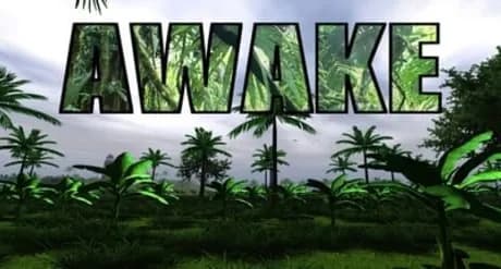 Awake