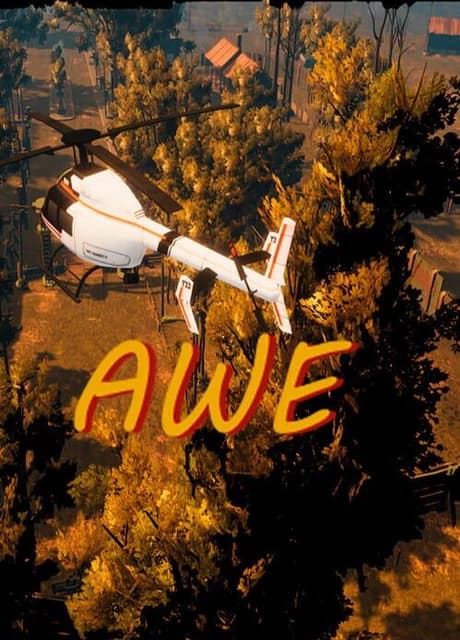 Awe