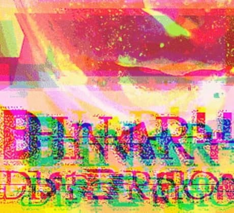Binary Distortion
