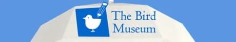 Bird Museum