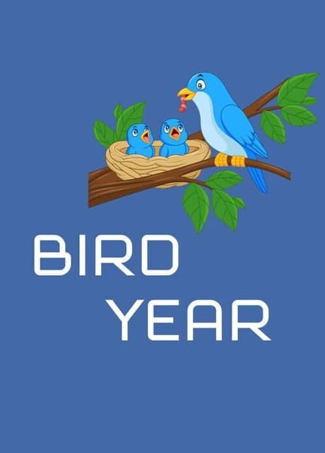 Bird Year