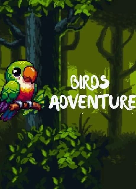 Birds Adventure