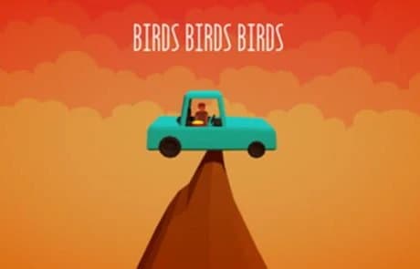 Birds Birds Birds