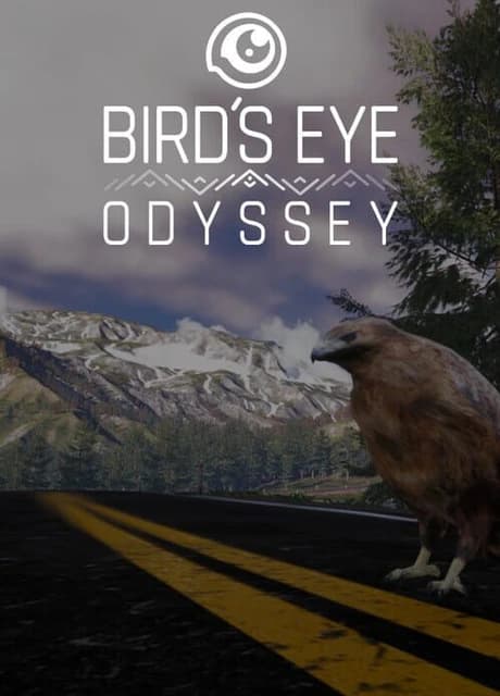 Bird's Eye Odyssey