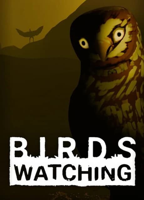 Birds Watching