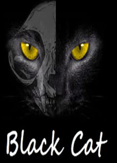 Black Cat