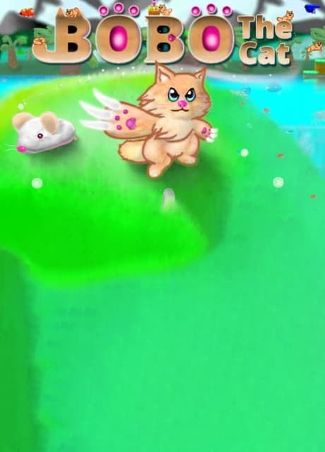 Bobo the Cat