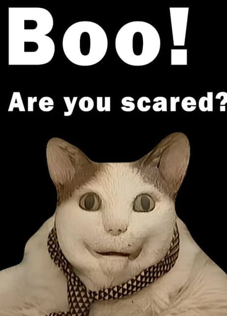 Boo! Are you scared?