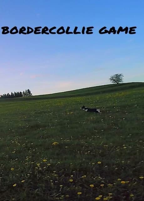BorderCollie Game