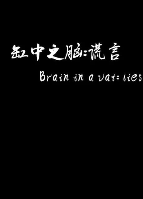 Brain in a Vat Lies