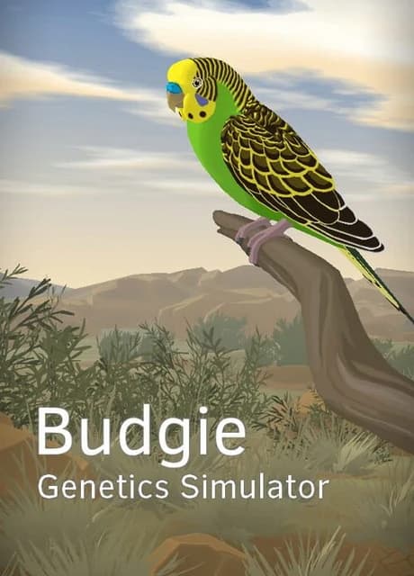 Budgie Genetics Simulator