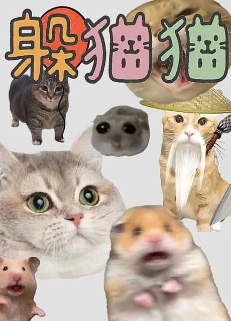 Cat and Rat