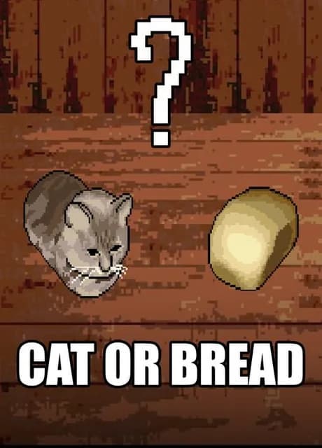 Cat or Bread?