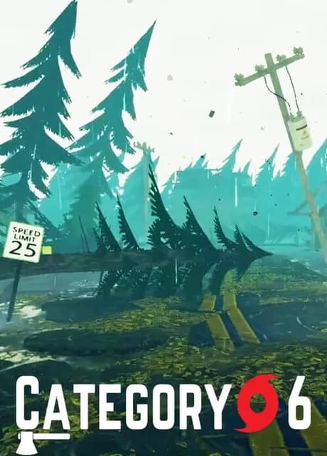 Category 6