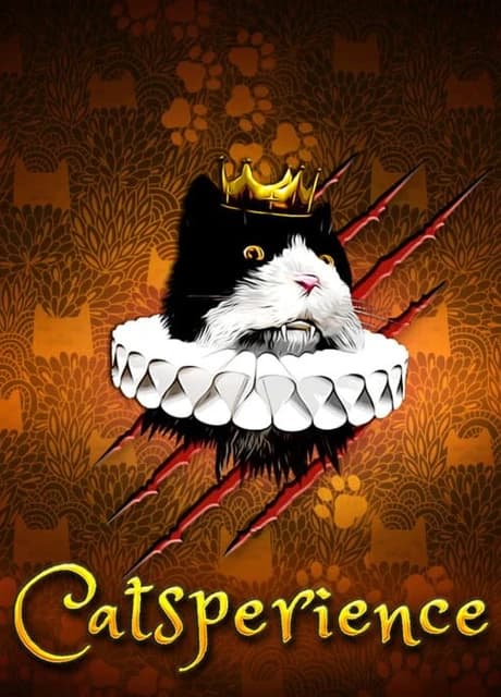 Catsperience