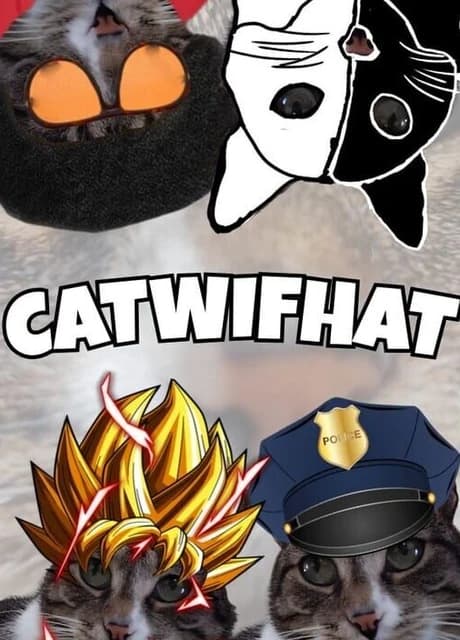 Catwifhat