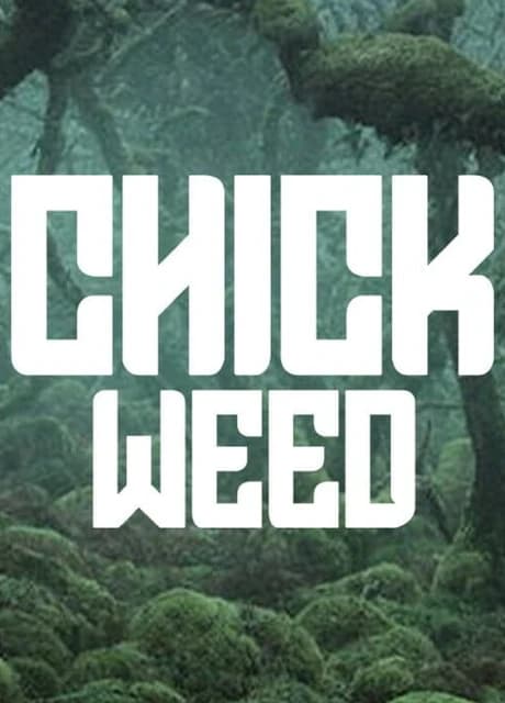 Chickweed