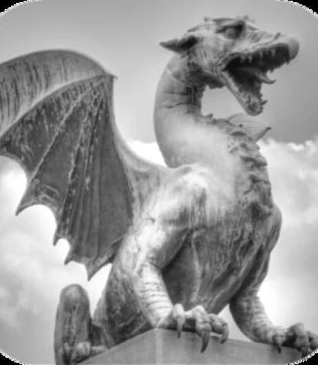 Choice of the Dragon