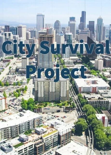 City Survival Project