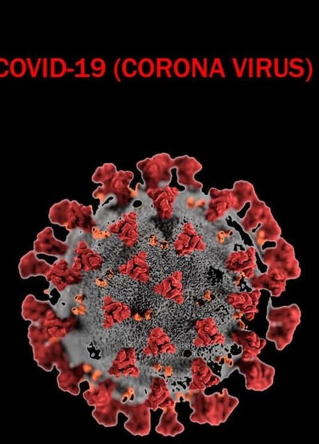 Covid-19 (Corona Virus)
