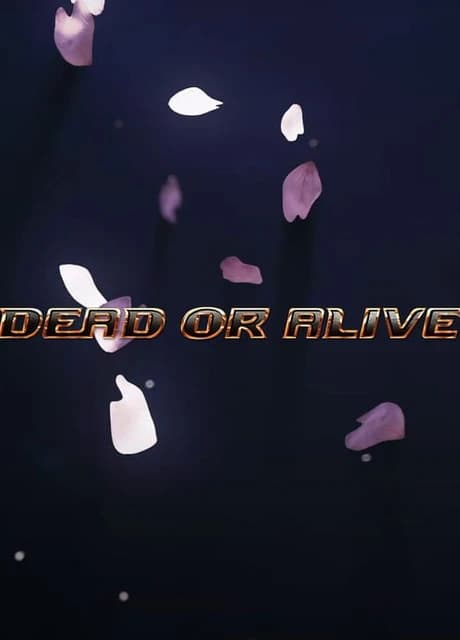Dead or Alive New Project