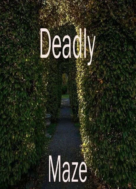 Deadly Maze