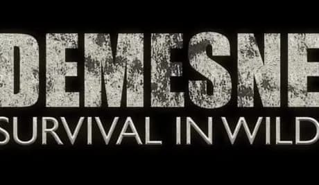 Demesne
