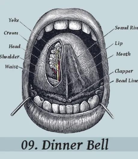 Dinner Bell