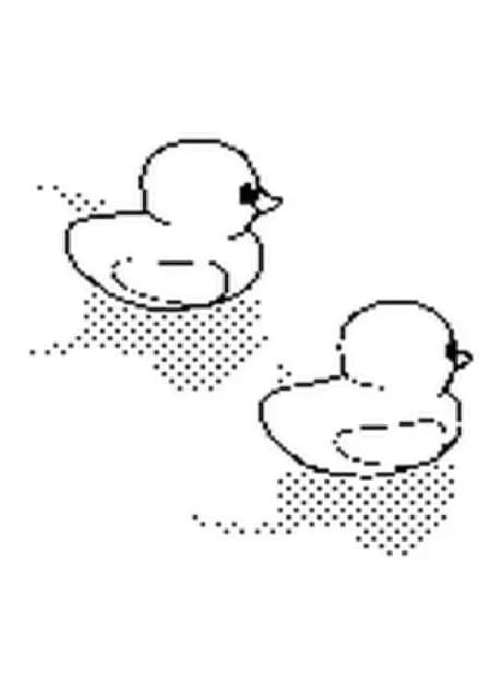 Duck Game
