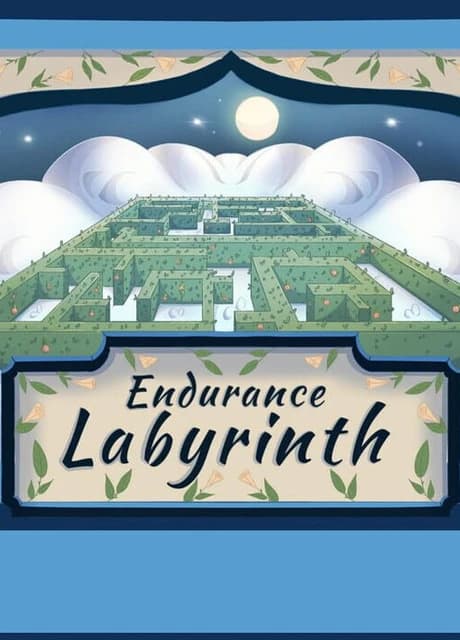 Endurance Labyrinth