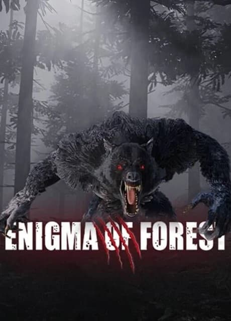 Enigma of Forest
