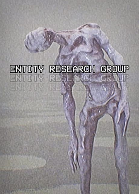 Entity Research Group
