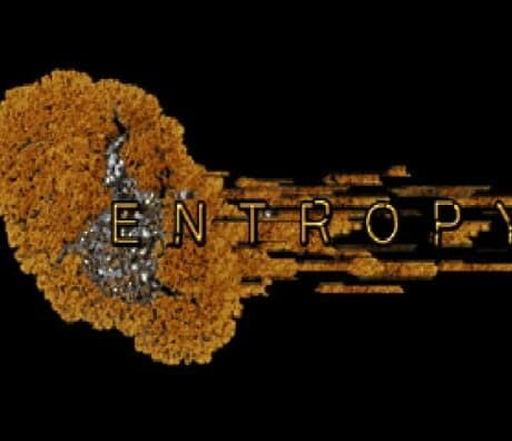 Entropy