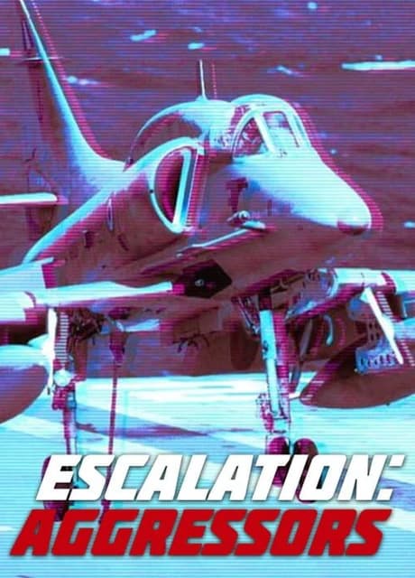 Escalation: Aggressors