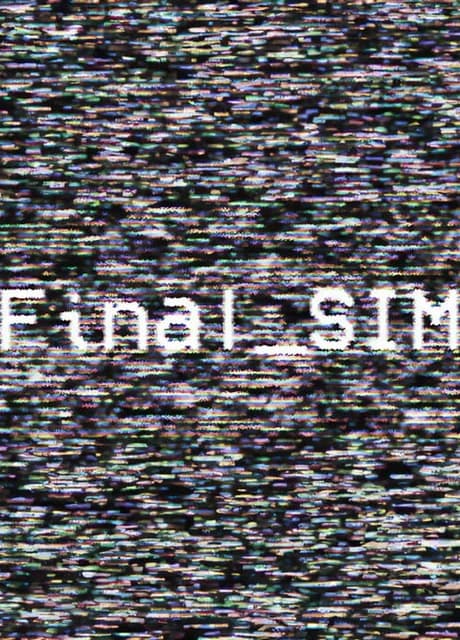 Final Sim