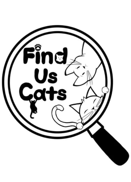 Find Us Cats