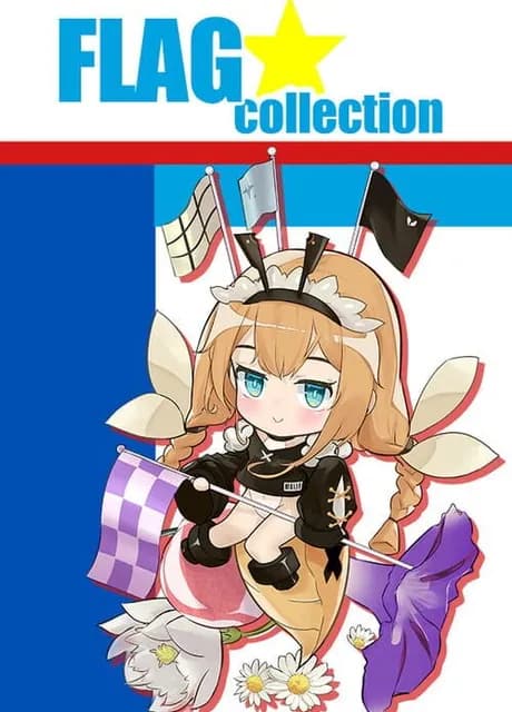 Flag Collection
