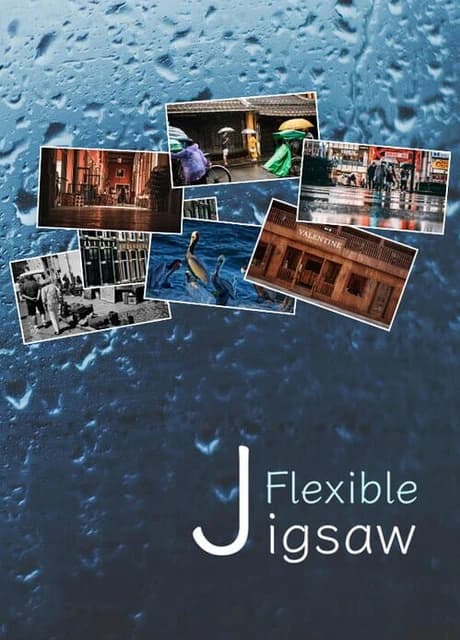 FlexibleJigsaw: Journey
