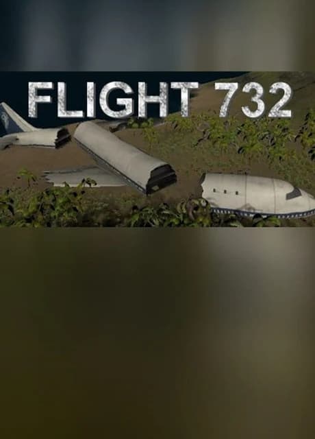 Flight 732