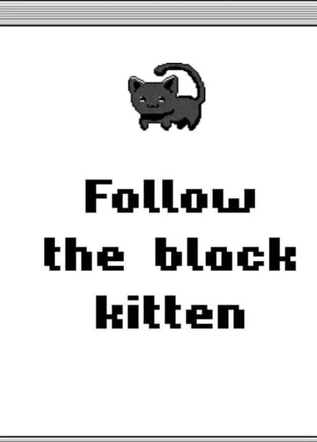 Follow the Black Kitten